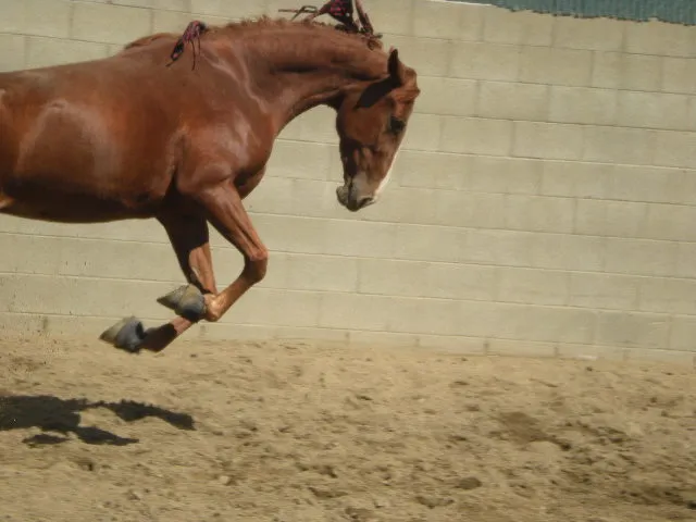 Generating High Voltage