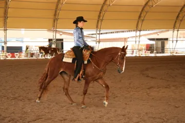 Generating High Voltage