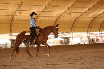 Generating High Voltage