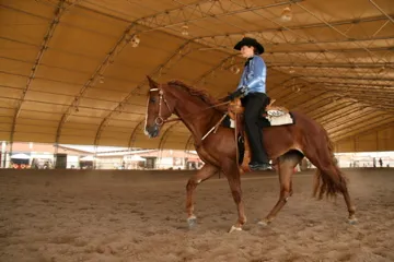 Generating High Voltage