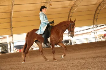 Generating High Voltage