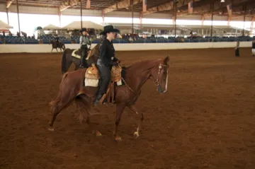 Generating High Voltage