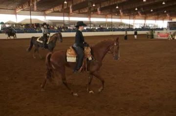 Generating High Voltage