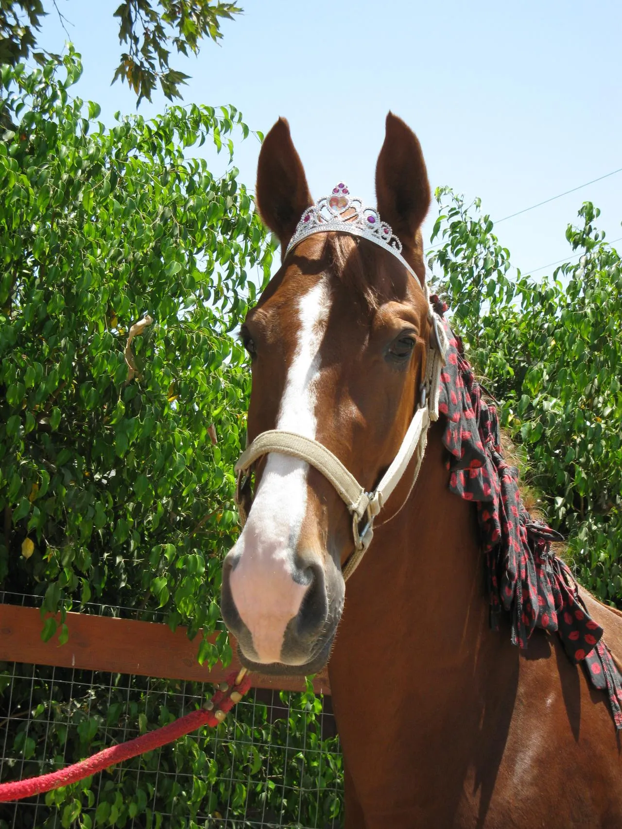 Generating High Voltage
