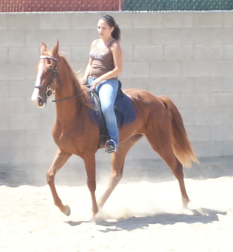 Generating High Voltage