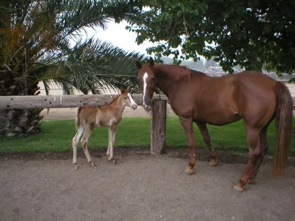 Generating High Voltage