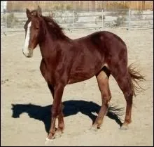 Generating High Voltage