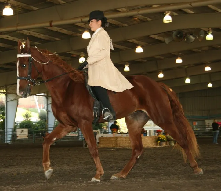 Generating High Voltage