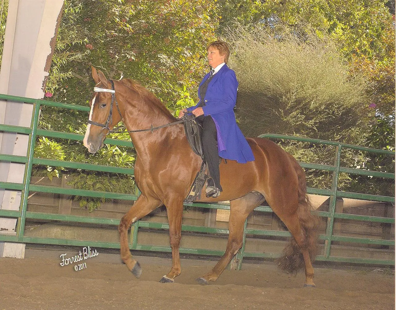 Generating High Voltage