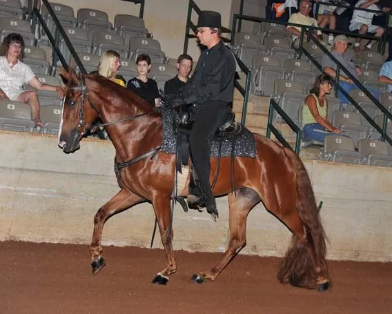 Generating High Voltage