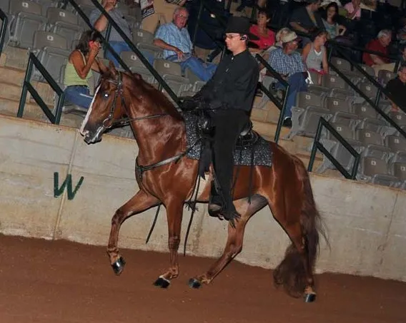 Generating High Voltage