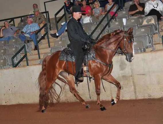 Generating High Voltage