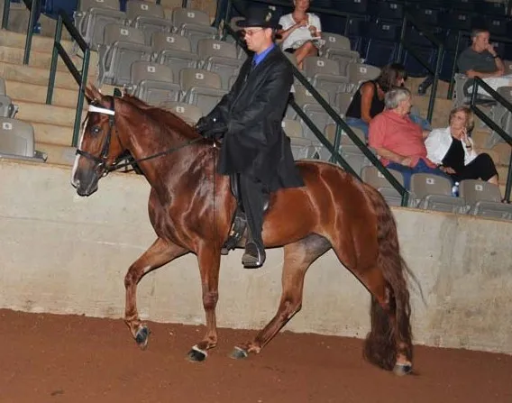 Generating High Voltage