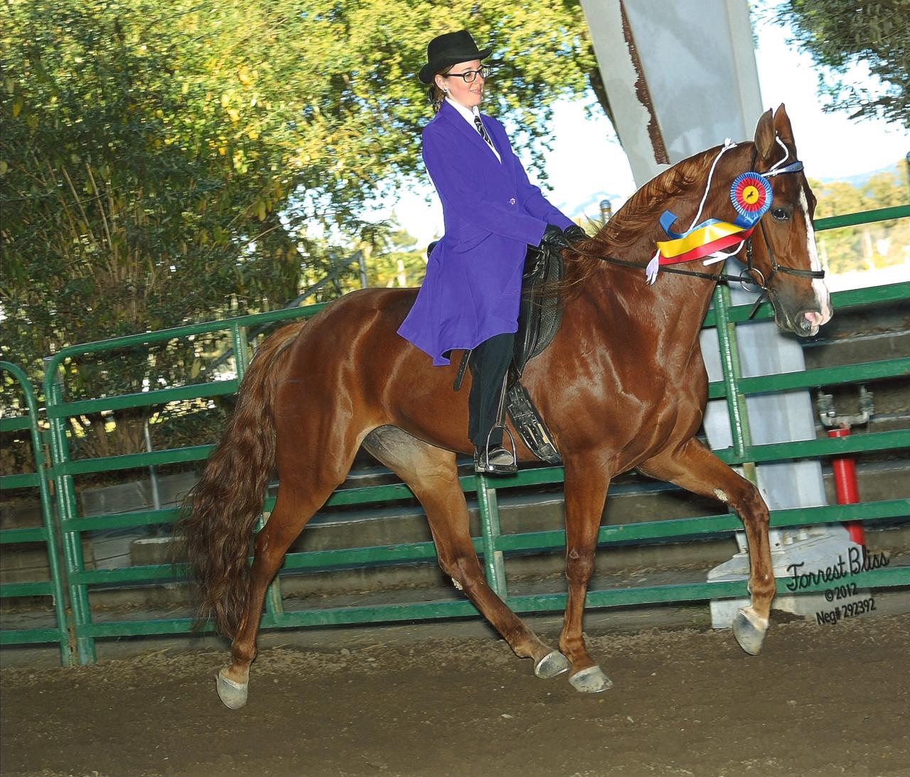 Generating High Voltage