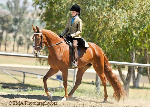 Generating High Voltage
