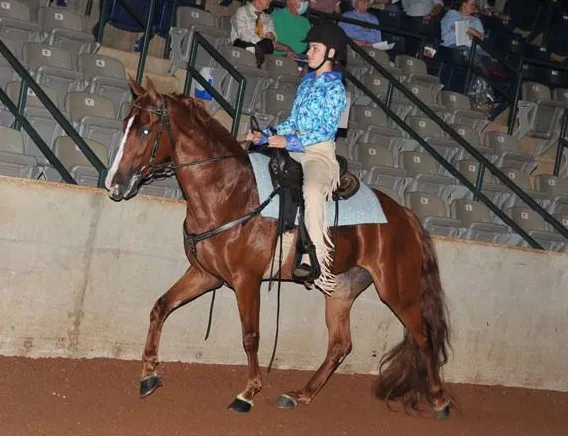 Generating High Voltage