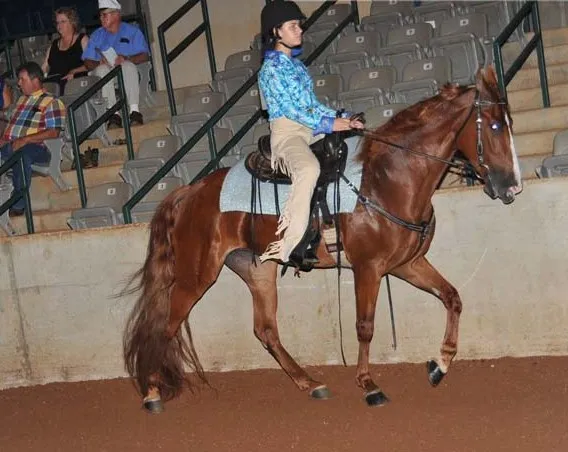 Generating High Voltage