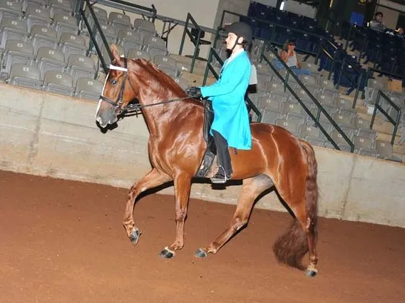 Generating High Voltage