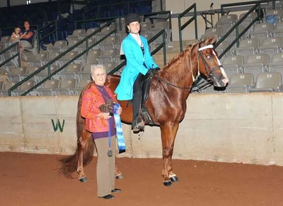 Generating High Voltage