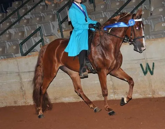 Generating High Voltage