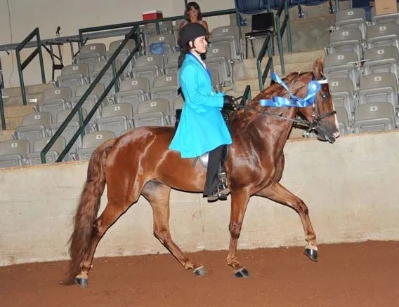 Generating High Voltage