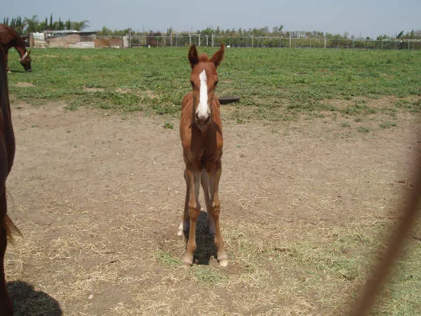 Generating High Voltage
