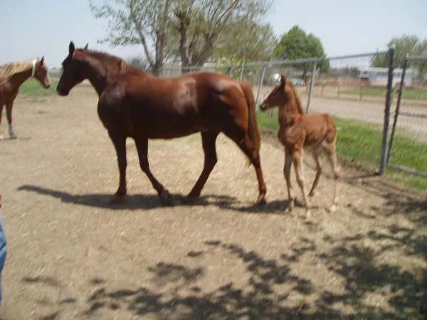 Generating High Voltage
