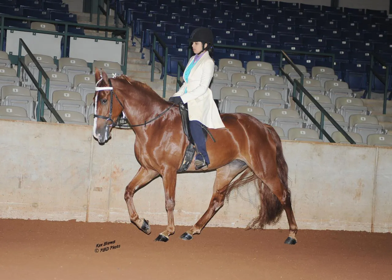 Generating High Voltage