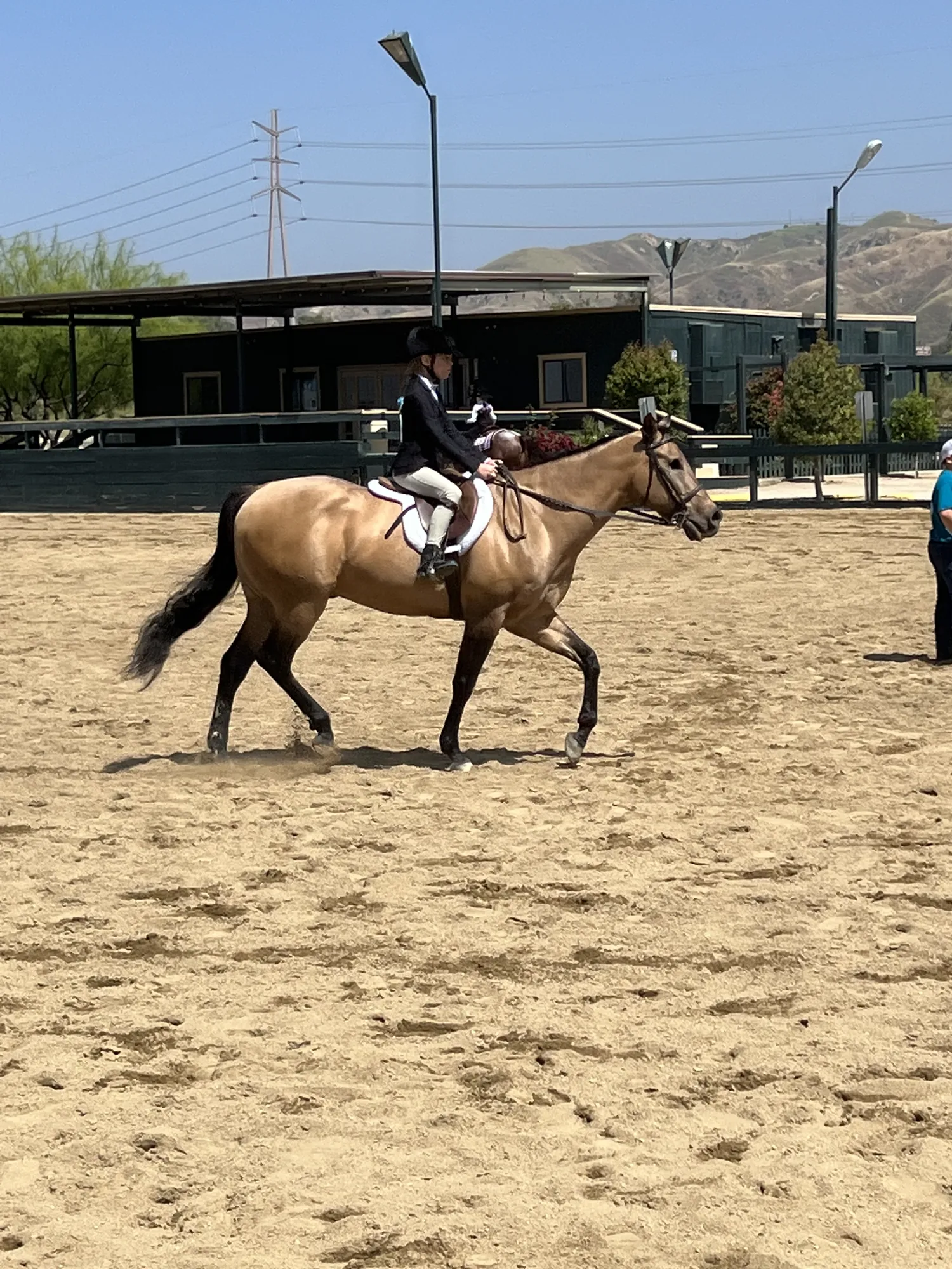 Noon's Trick or Treat