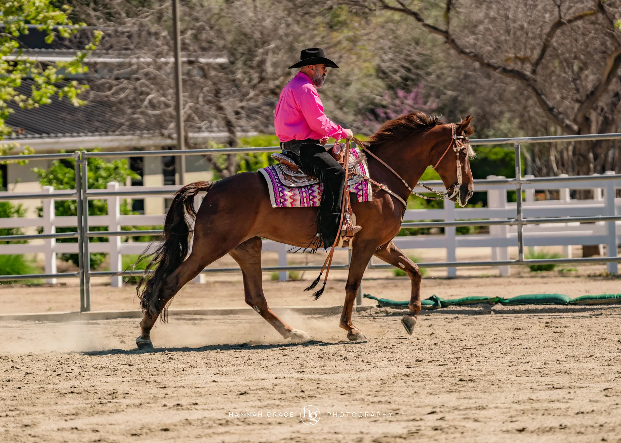 Noon's Trick or Treat