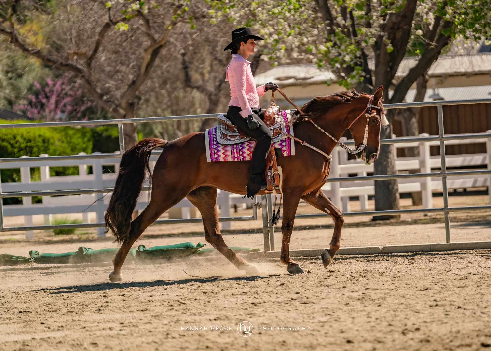 Noon's Trick or Treat