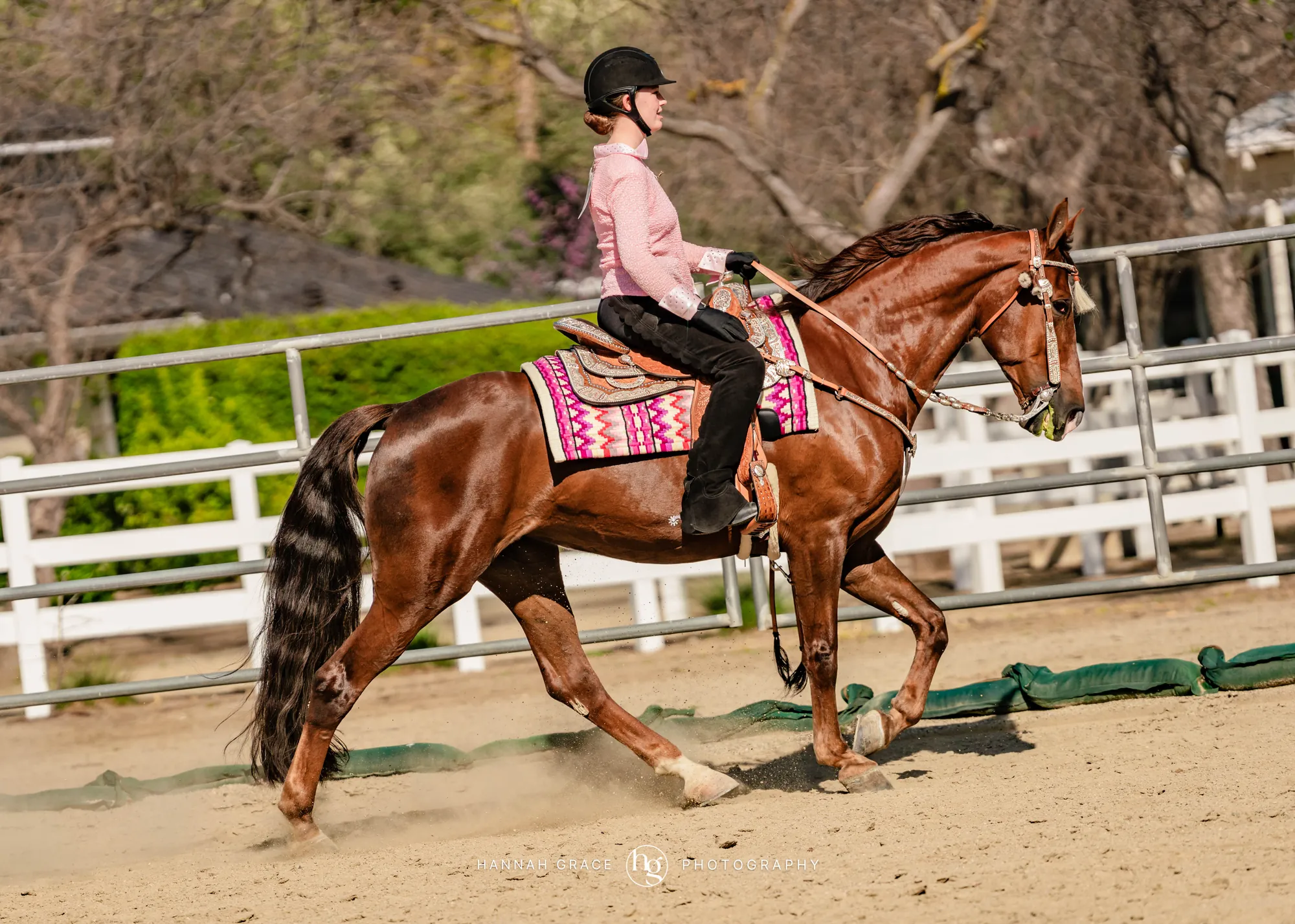 Noon's Trick or Treat