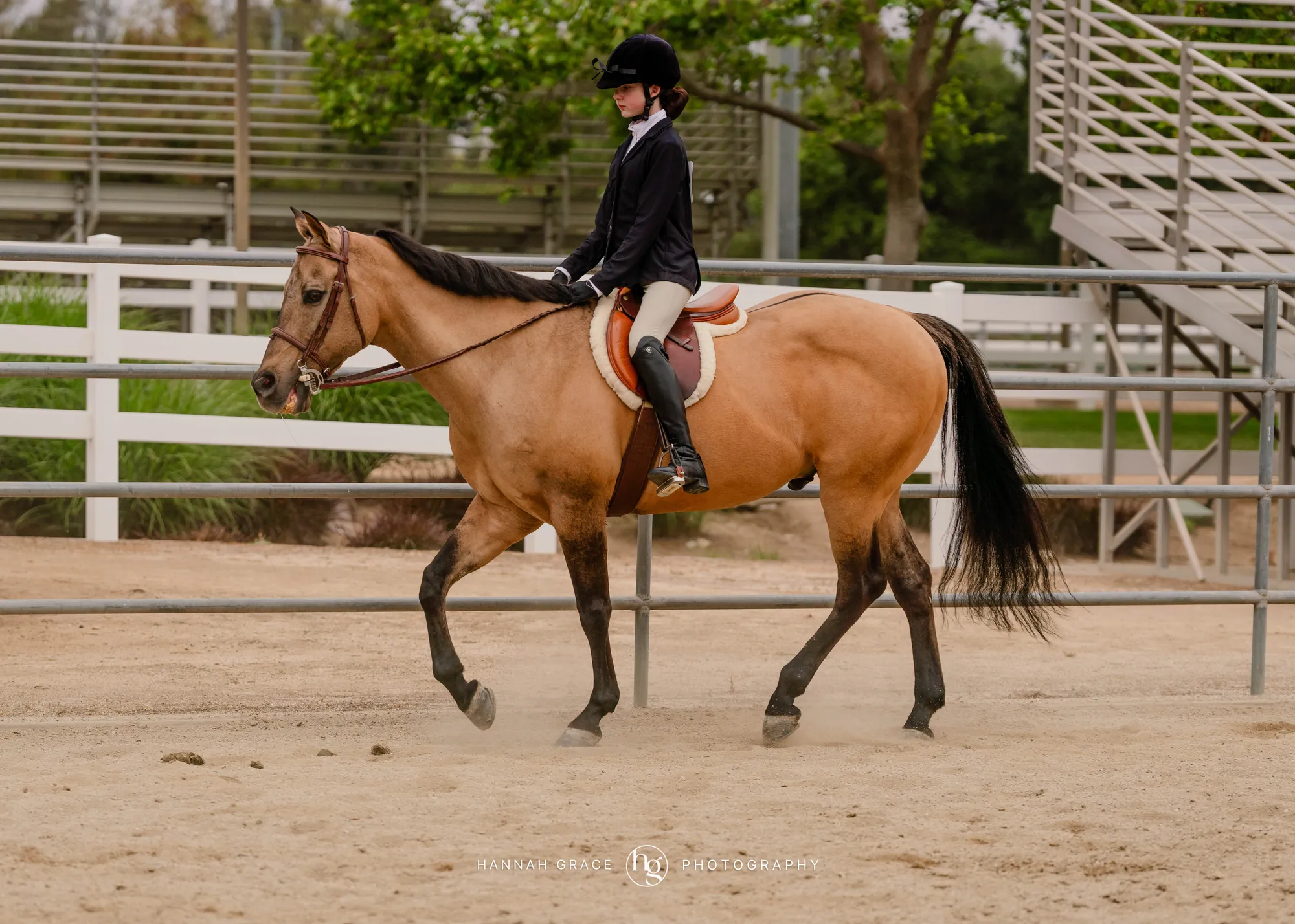 Noon's Trick or Treat