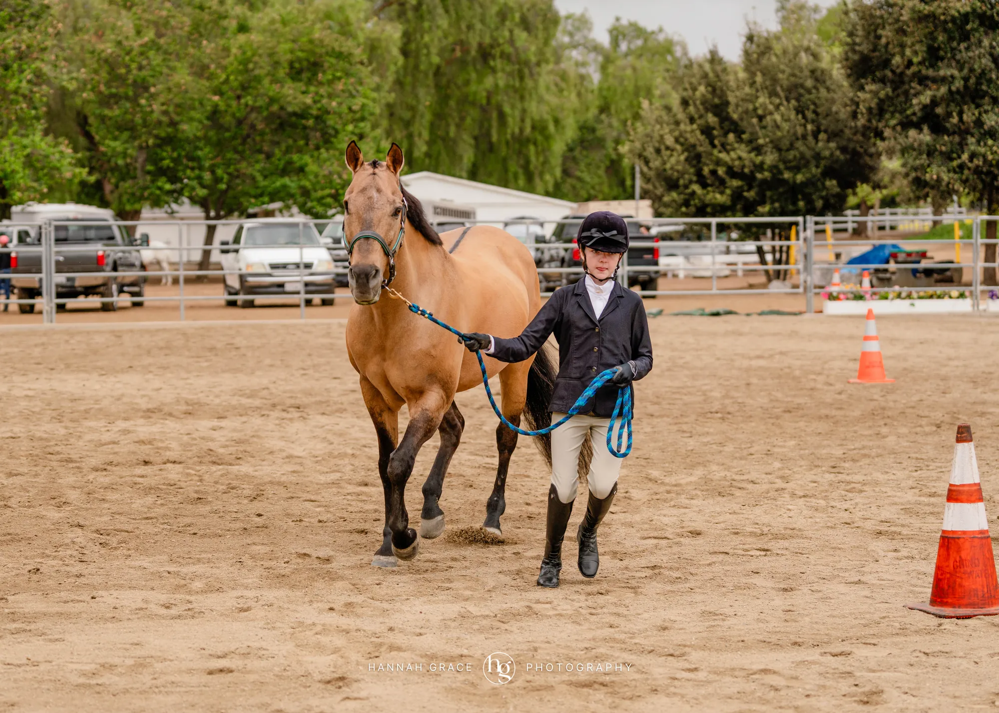 Noon's Trick or Treat