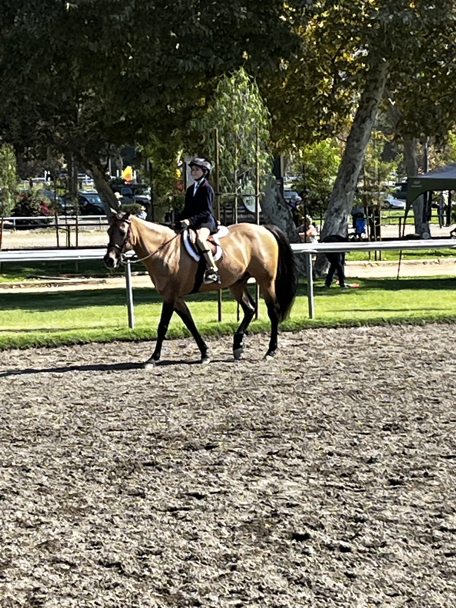 Noon's Trick or Treat