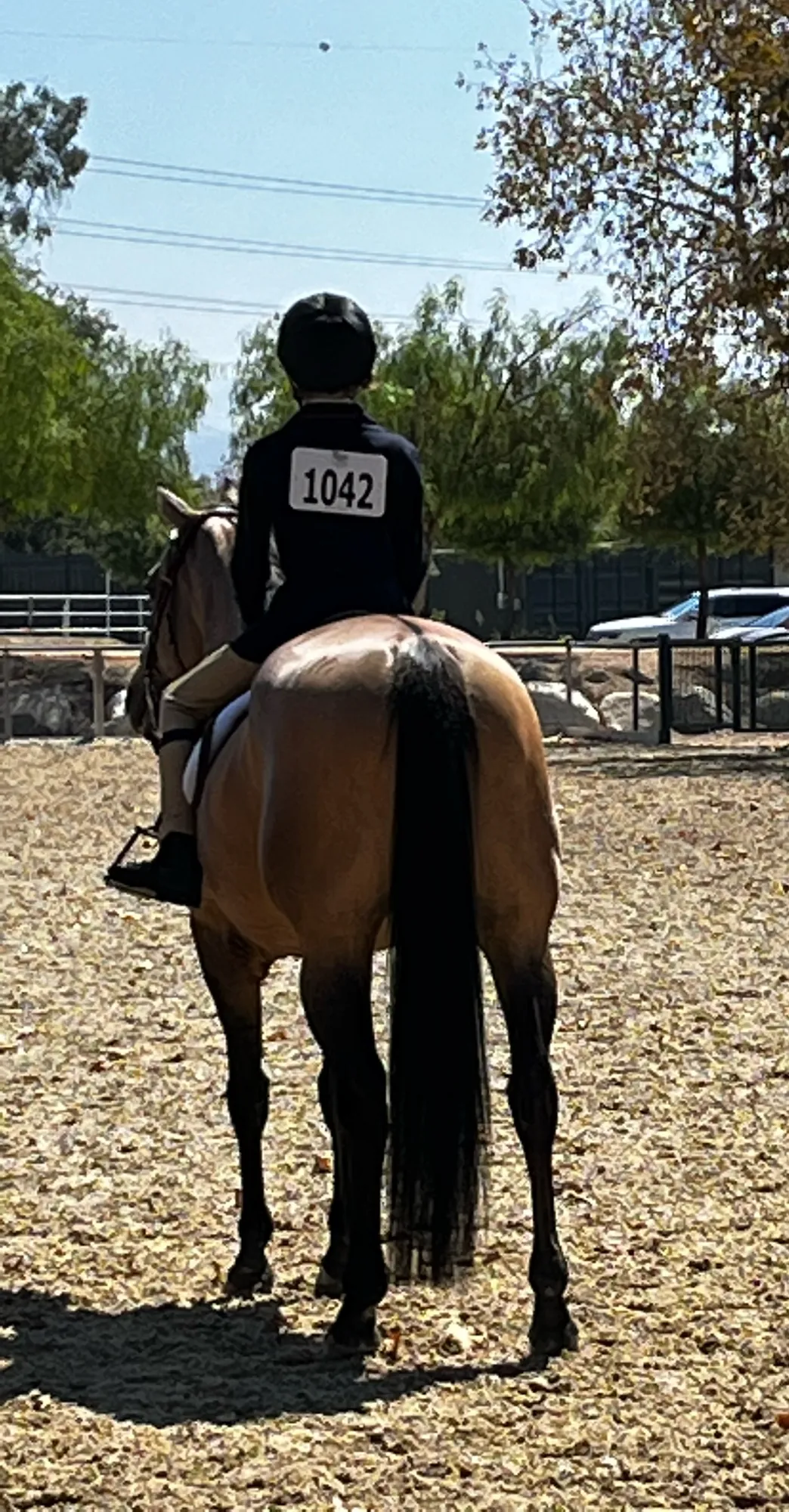 Noon's Trick or Treat