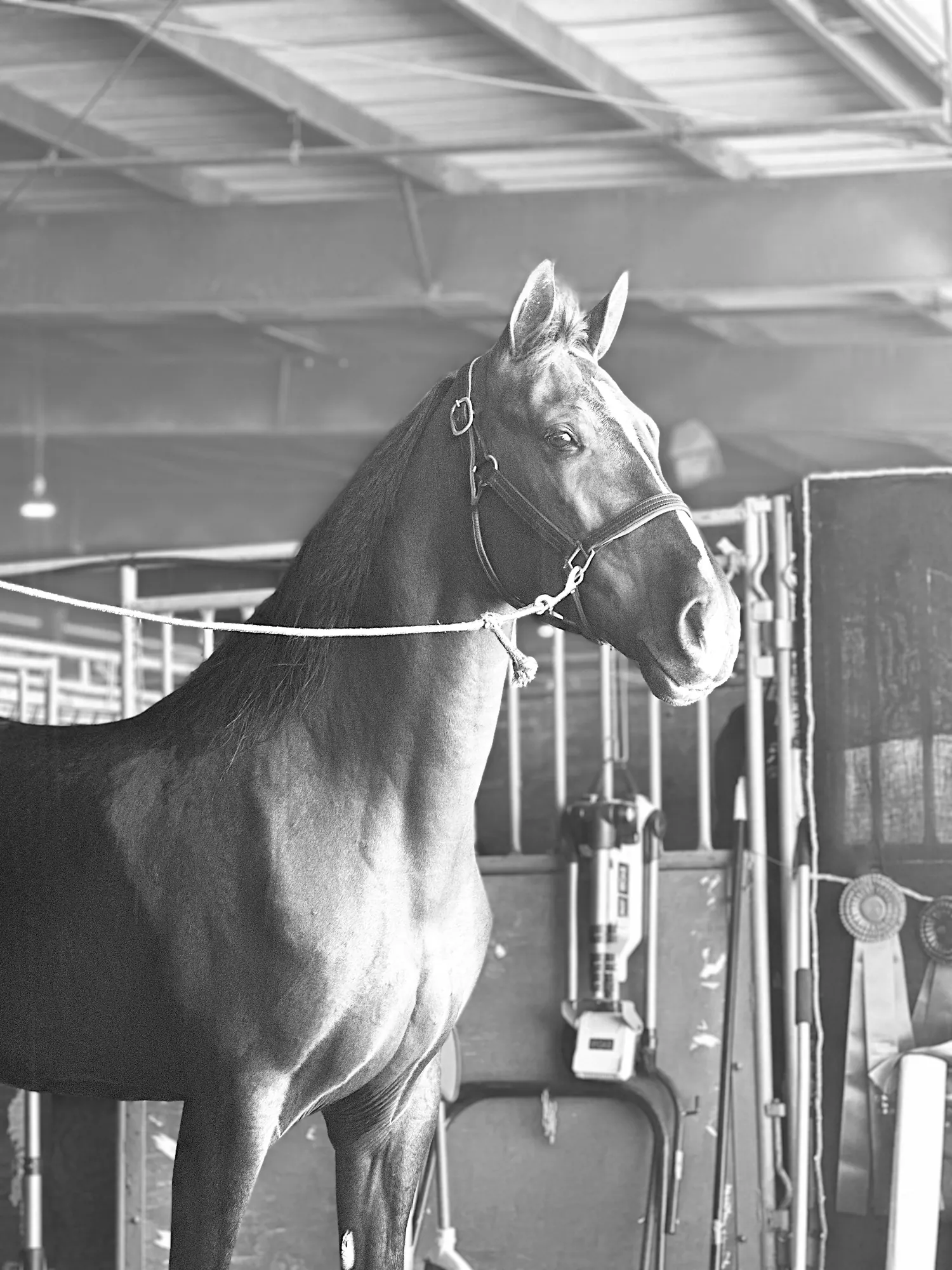 Noon's Trick or Treat