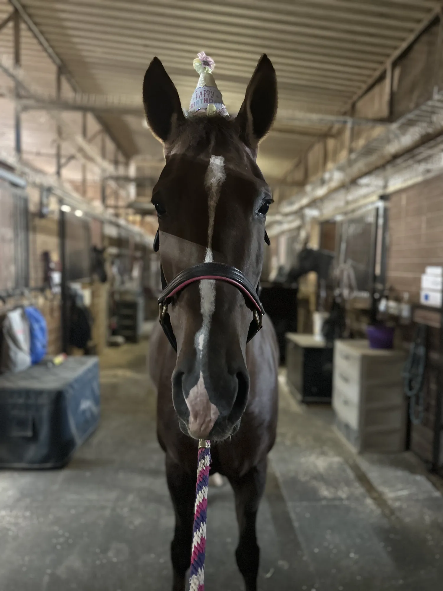 Noon's Trick or Treat