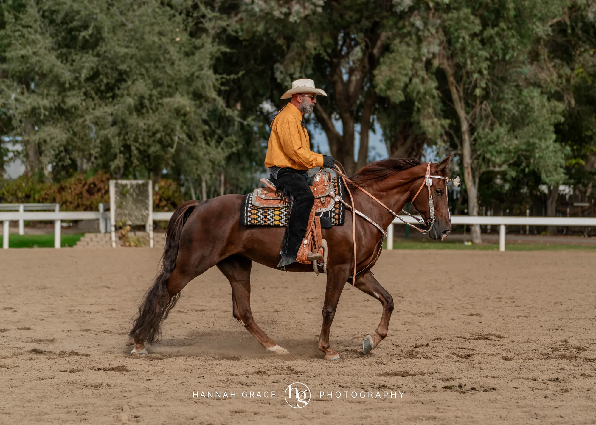 Noon's Trick or Treat