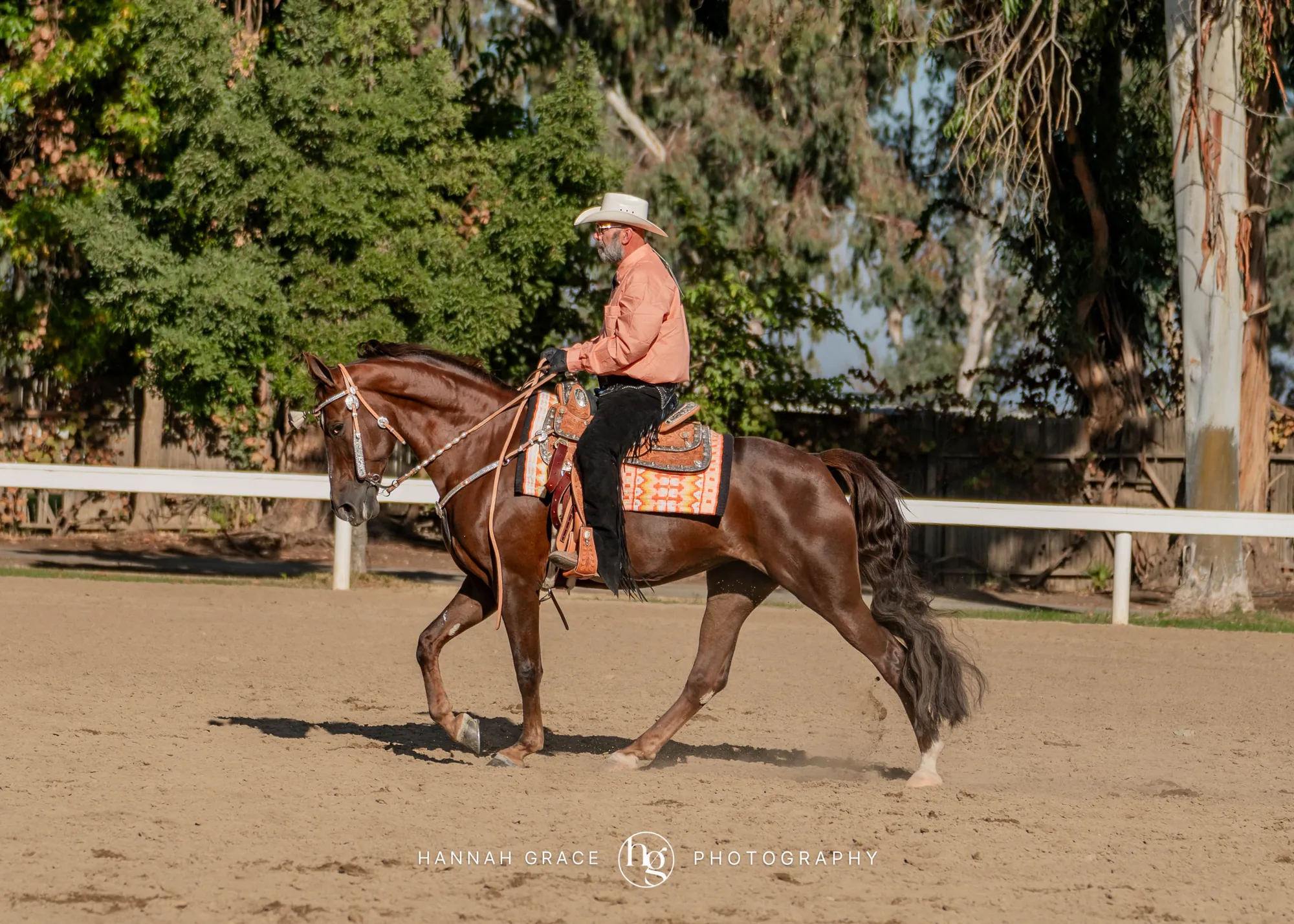 Noon's Trick or Treat