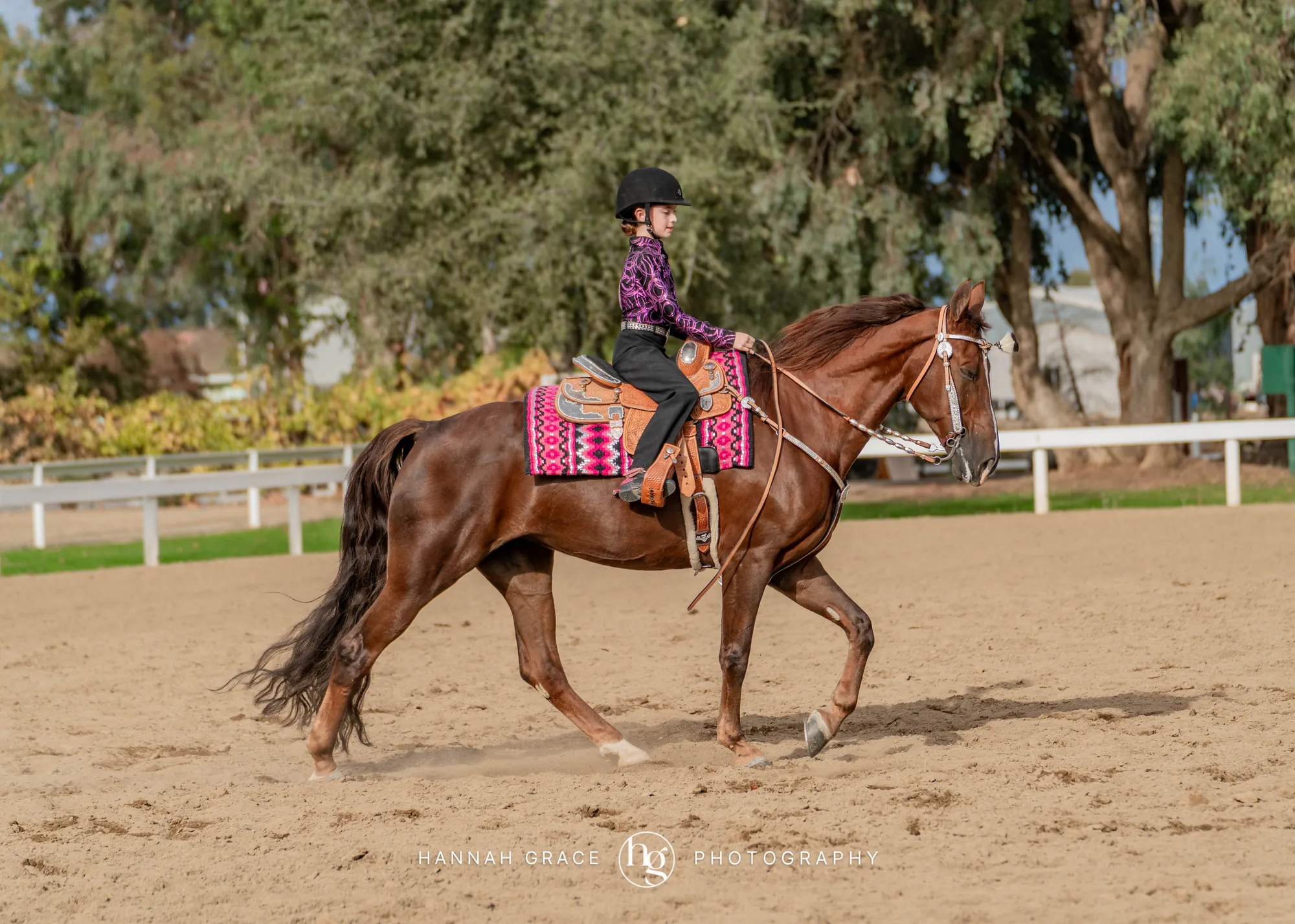 Noon's Trick or Treat