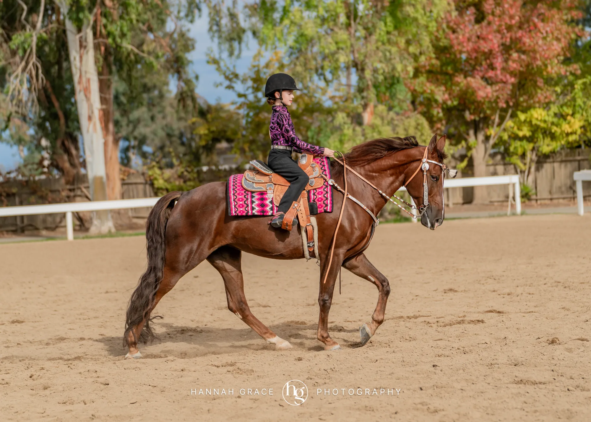 Noon's Trick or Treat