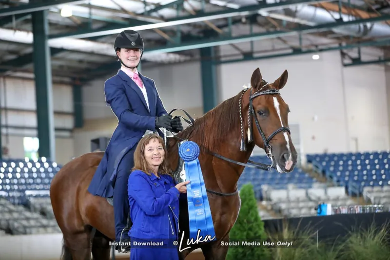 Noon's Trick or Treat