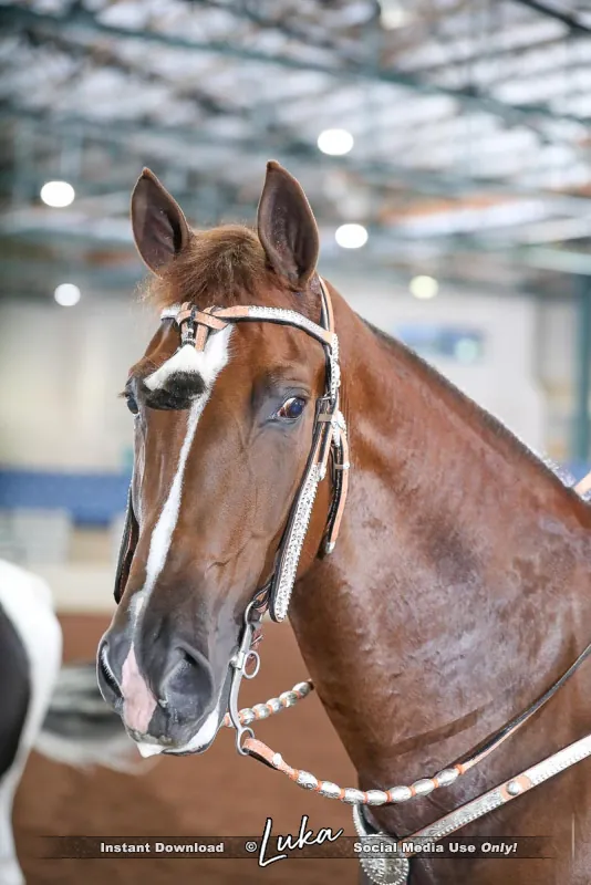 Noon's Trick or Treat