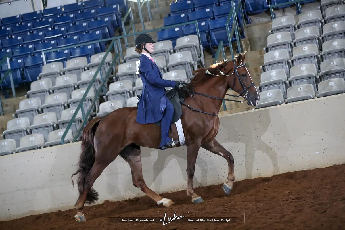 Noon's Trick or Treat