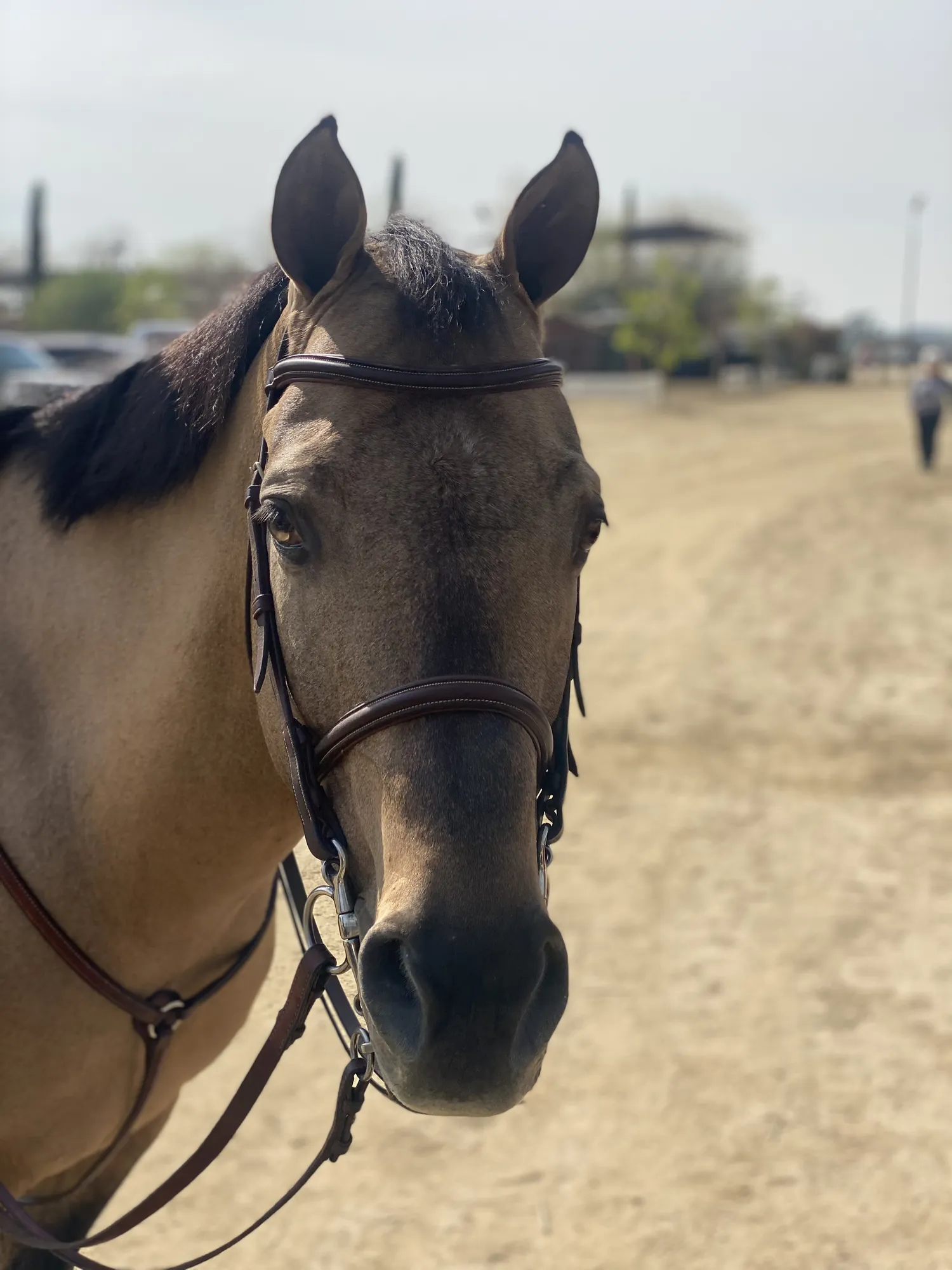 Noon's Trick or Treat