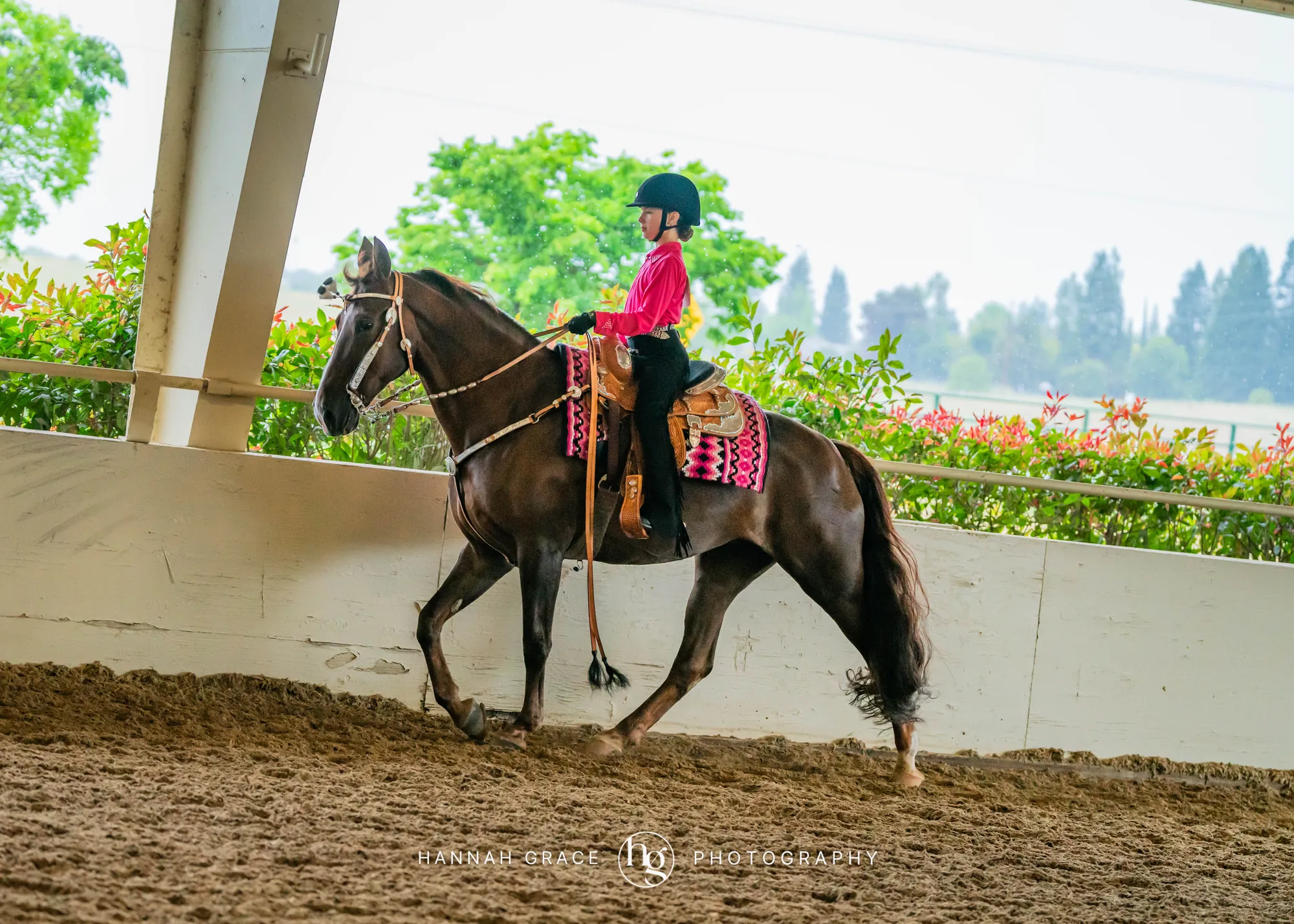 Noon's Trick or Treat