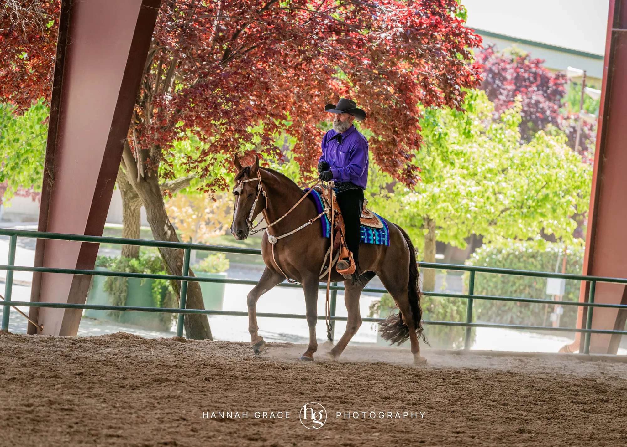 Noon's Trick or Treat