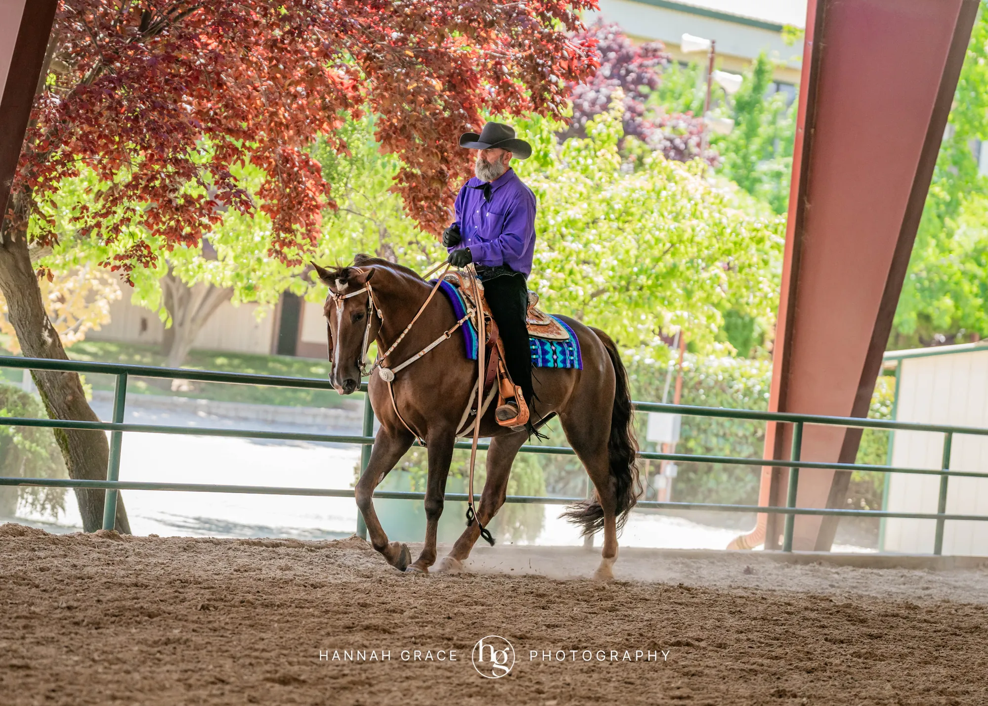 Noon's Trick or Treat