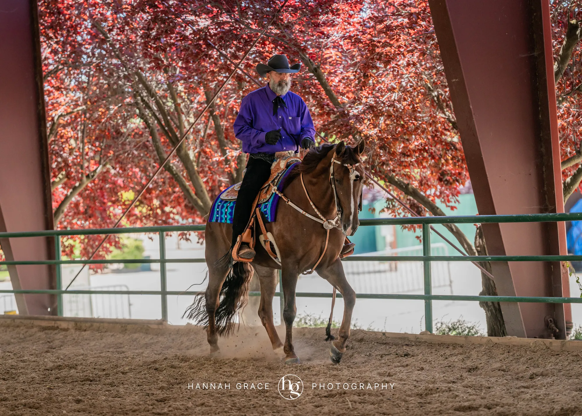 Noon's Trick or Treat